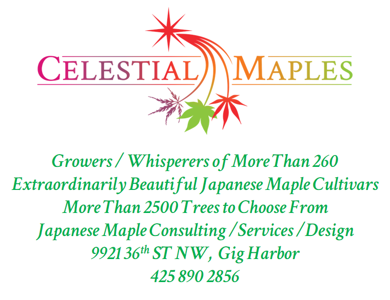 Celestial Maples Redirect Picture